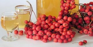 Рябиновый сок Народные методы удаления лентиго