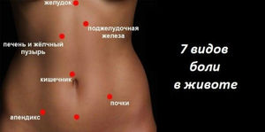 Топография живота Топография живота человека