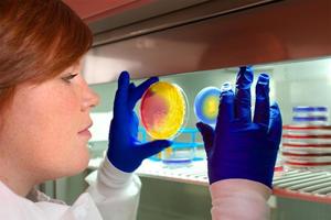 Как проявляется стафилококк у взрослых Проявление заболевания