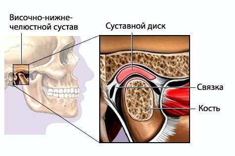 Строение височно-нижечелюстного сустава