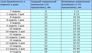 Как рассчитать срок по ктр
