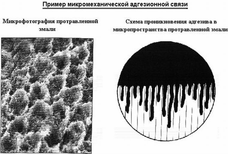 Принцип адгезии