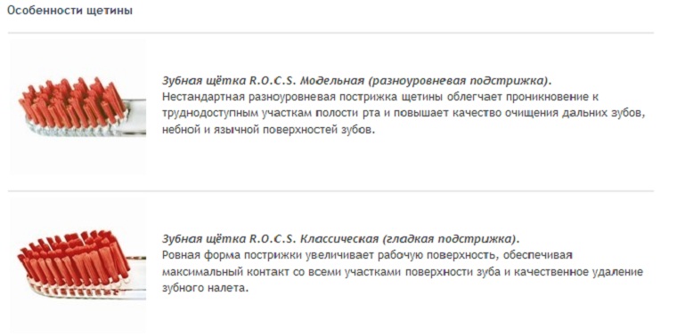 Особенности щетины Рокс