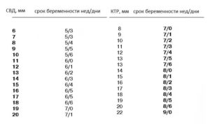 Как рассчитать срок по ктр