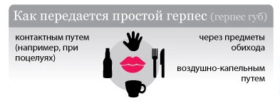 Пути передачи вируса герпеса