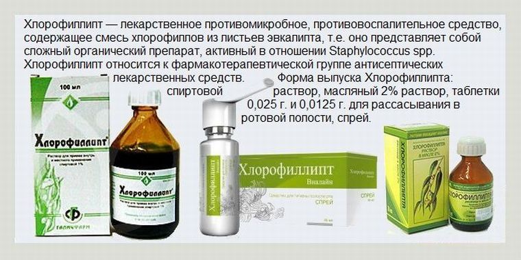 Формы выпуска Хлорофиллипта