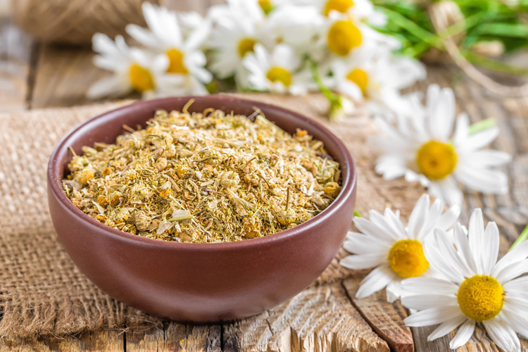 Цветы календулы и ромашки