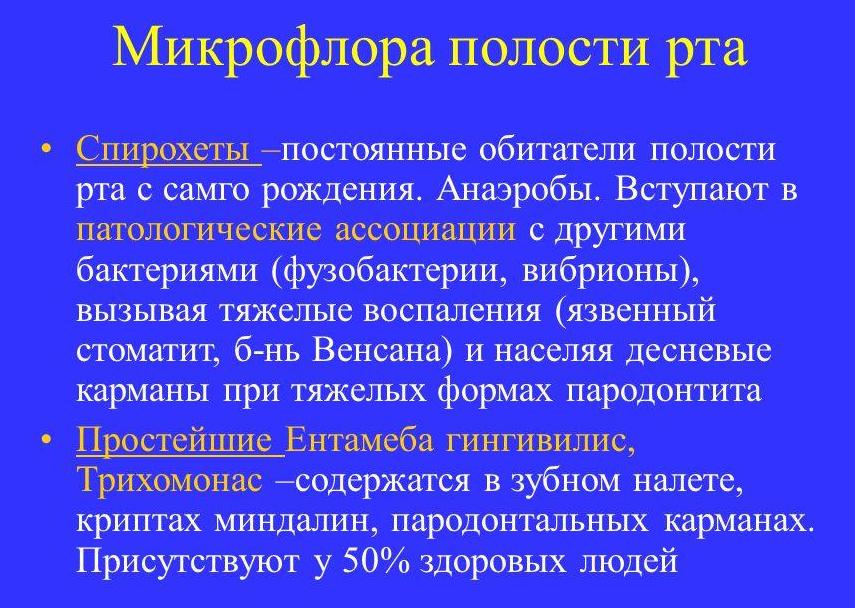 микрофлора полости рта