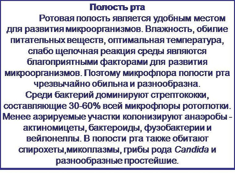 полость рта - микрофлора