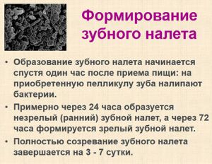 Формирование зубного налета
