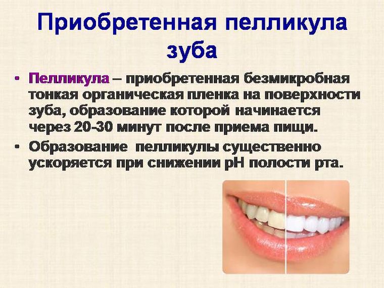 Пелликула зуба