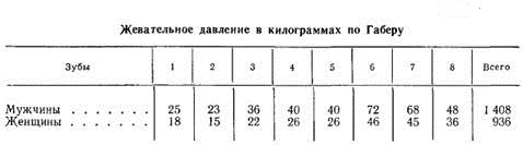 Распределение жевательной силы на зубы