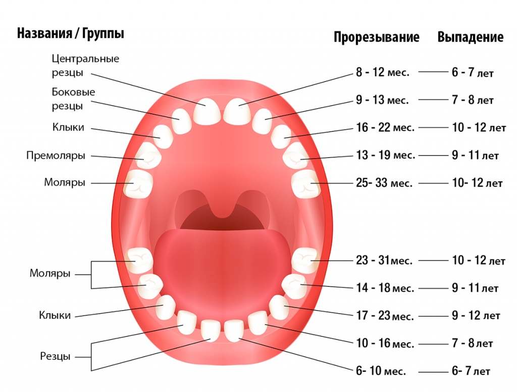 прорезывание зубов у ребенка