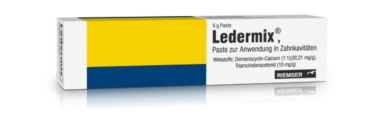 Ledermix паста