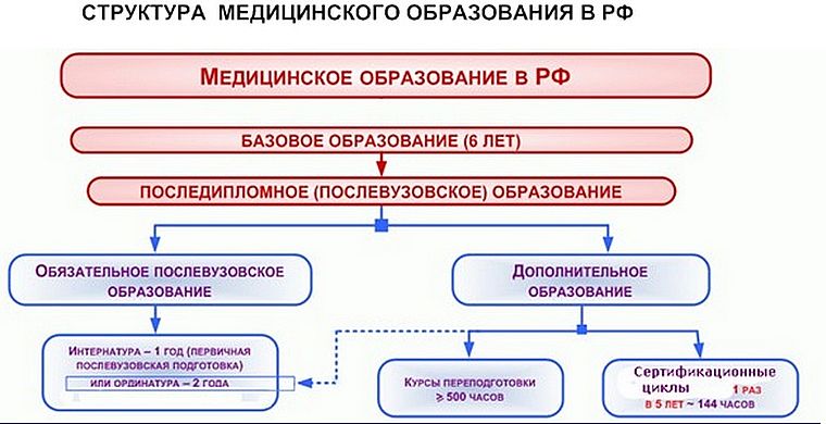 этапы обучения врача