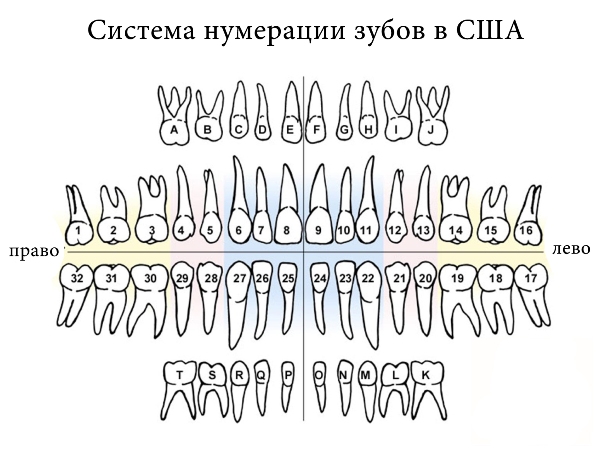 система нумерации США