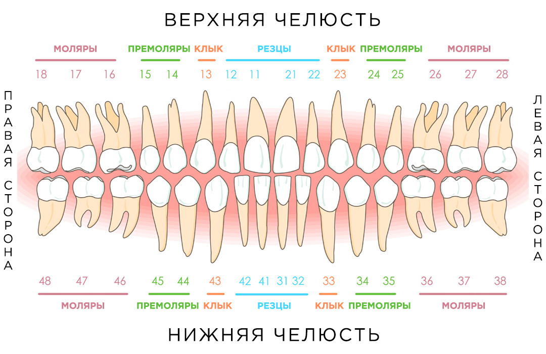 Двухцифровая система Виола