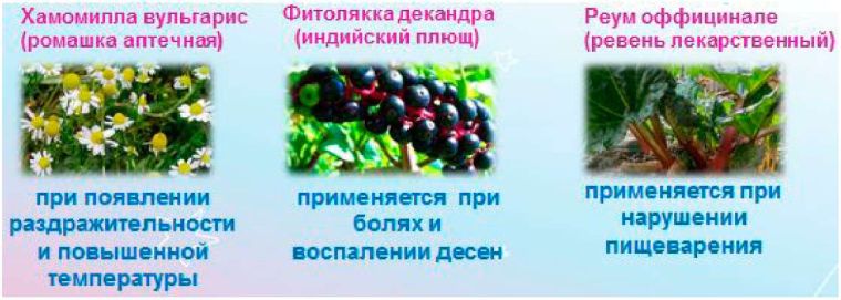 Состав Дантинорм бэби