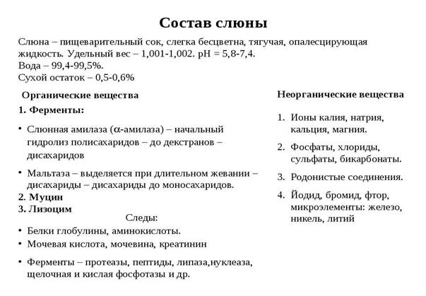 Состав слюны
