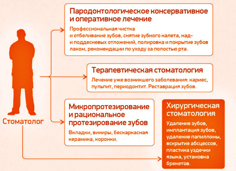 Направления стоматологии