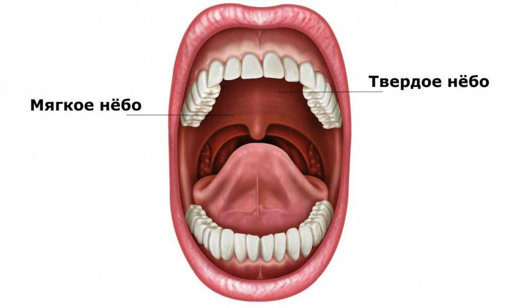 Небо
